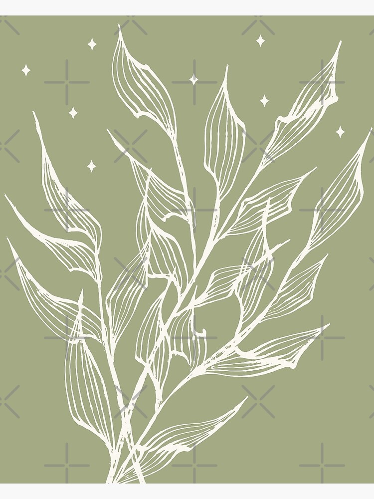 "Sage Green Leaves" Poster for Sale by ArunikaPrints Redbubble