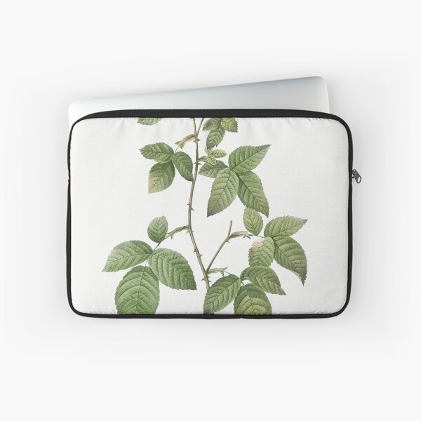 Item preview, Les Roses by Pierre-Joseph Redouté designed and sold by EsotericBotanic.