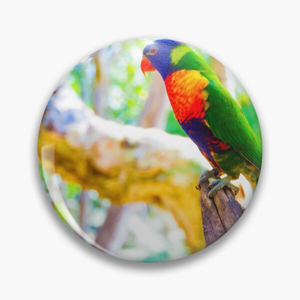 Item preview, Rainbow Lorikeet on a Tree Stump designed and sold by Steven Jodoin.