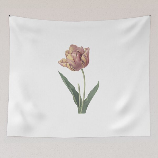 Item preview, Cultivated Tulip, Antique Illustration, Flower designed and sold by BeyondRecently.
