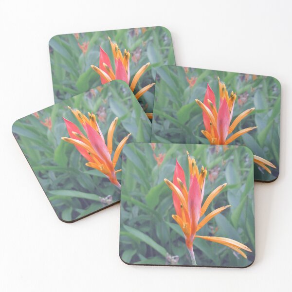Item preview, Andromeda Heliconia Flower Photo designed and sold by IridescentSea.