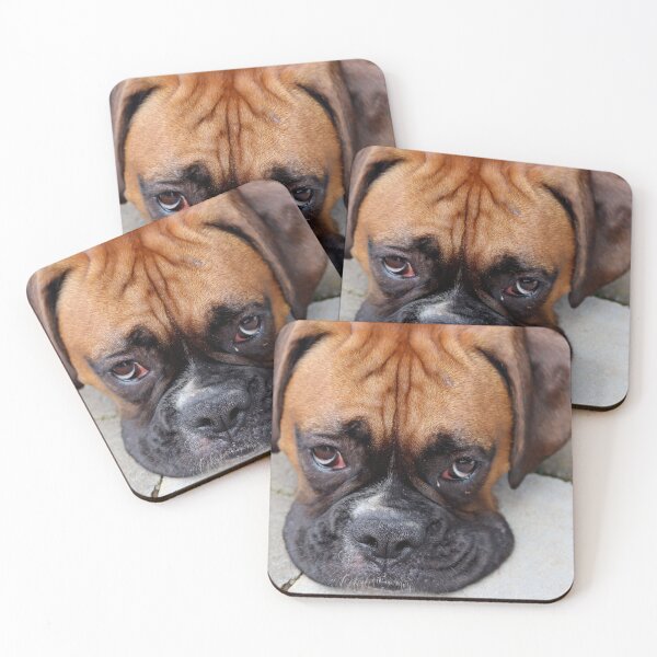 Item preview, Dino - Such Is Life Boxer Dog Series designed and sold by Evita.