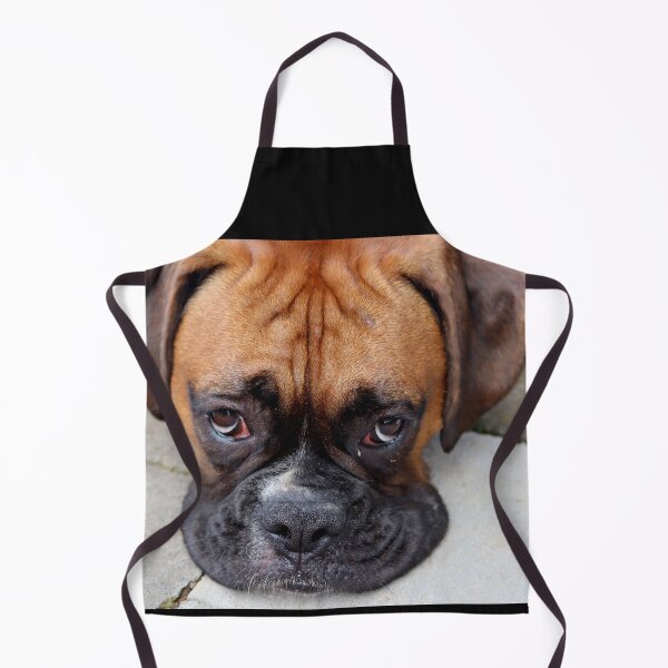 Item preview, Dino - Such Is Life Boxer Dog Series designed and sold by Evita.