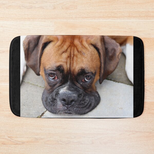 Item preview, Dino - Such Is Life Boxer Dog Series designed and sold by Evita.