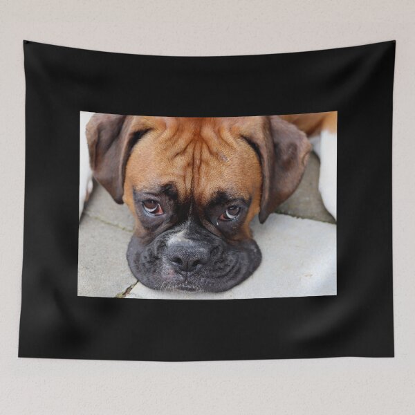 Item preview, Dino - Such Is Life Boxer Dog Series designed and sold by Evita.