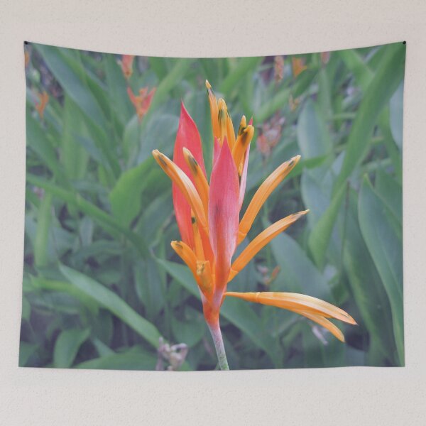 Item preview, Andromeda Heliconia Flower Photo designed and sold by IridescentSea.
