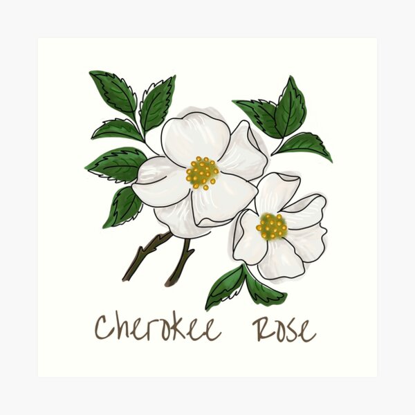 Chel Belle - Cherokee roses and eagle feather 😍... | Facebook