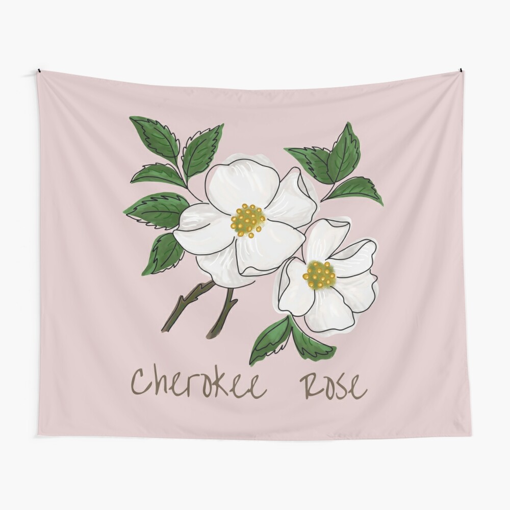 Cherokee Rose