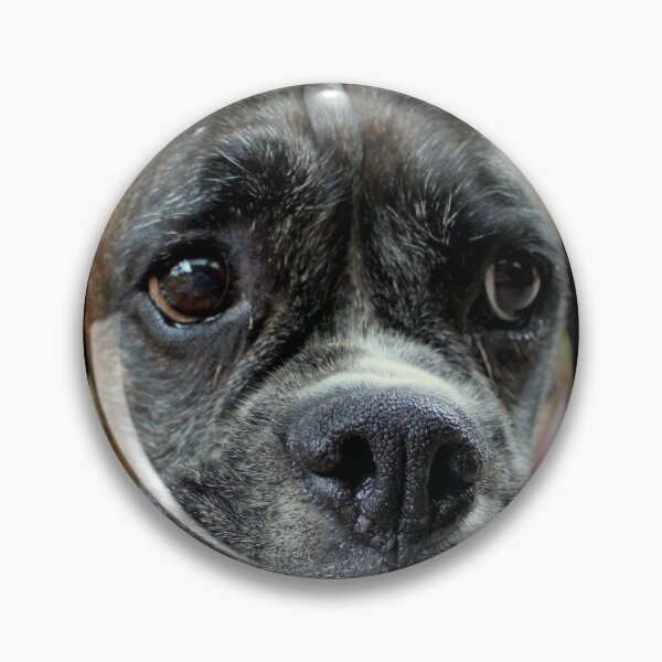 Item preview, Luthien -Boxer Dog Series designed and sold by Evita.
