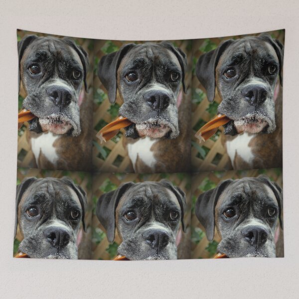 Item preview, Luthien -Boxer Dog Series designed and sold by Evita.