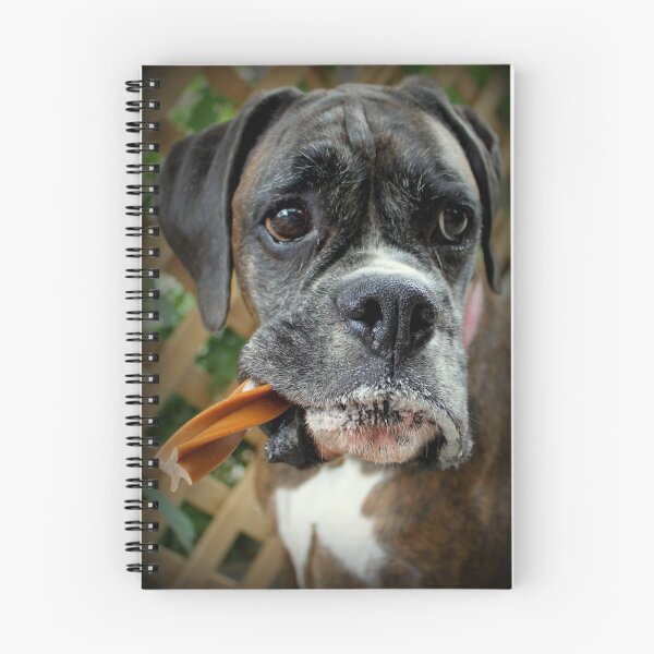 Item preview, Luthien -Boxer Dog Series designed and sold by Evita.