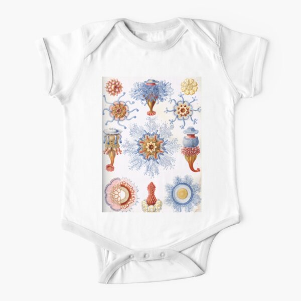 Haeckel Siphonophorae. Siphonophorae is an order of Hydrozoans, a class of marine organisms belonging to the phylum Cnidaria Short Sleeve Baby One-Piece