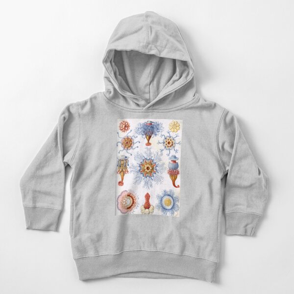 Haeckel Siphonophorae. Siphonophorae is an order of Hydrozoans, a class of marine organisms belonging to the phylum Cnidaria Toddler Pullover Hoodie