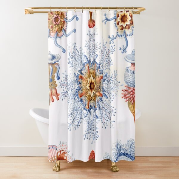 Haeckel Siphonophorae. Siphonophorae is an order of Hydrozoans, a class of marine organisms belonging to the phylum Cnidaria Shower Curtain