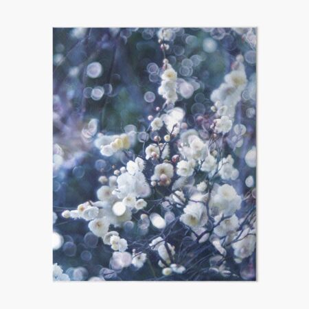 'UME' bubble Art Board Print