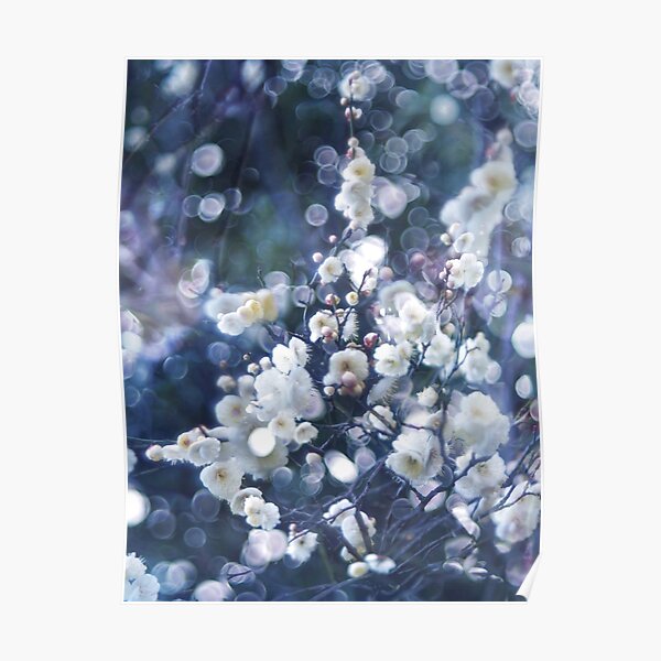 'UME' bubble Poster
