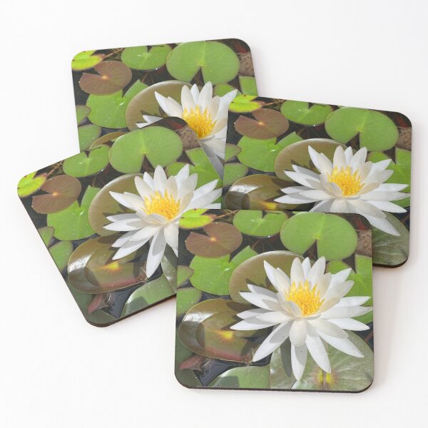Item preview, water lily designed and sold by Pauline O'Brien.