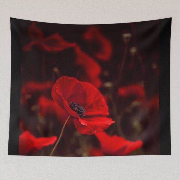 Aperçu de l'œuvre Coquelicots rouges créée et vendue par Felicity-K.