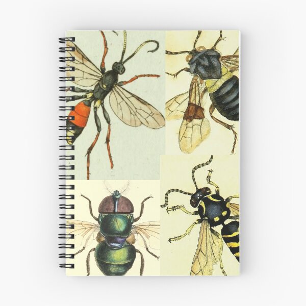 Item preview, Vintage Insects Set #1 designed and sold by Krispsm.