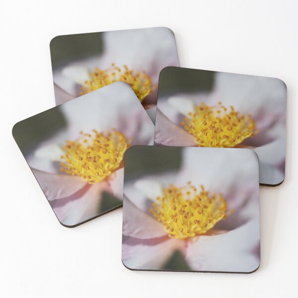 Item preview, Camellia Japonica Soft Pink Flower designed and sold by Joy Watson - Natural Light Photography .