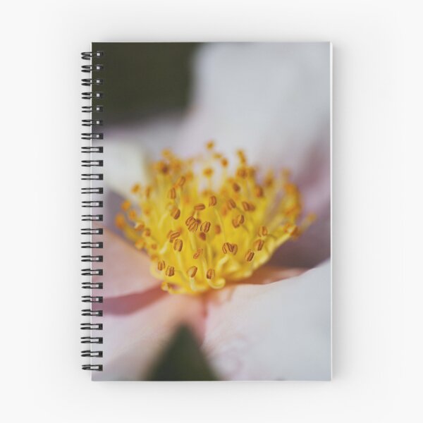Item preview, Camellia Japonica Soft Pink Flower designed and sold by Joy Watson - Natural Light Photography .