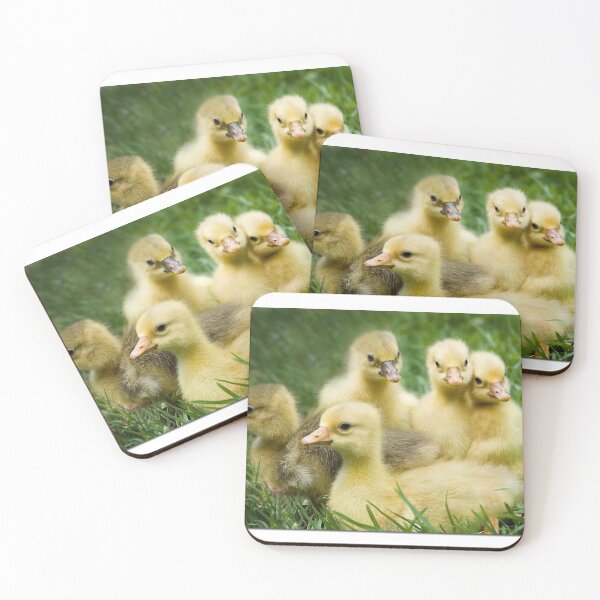 Item preview, A Gaggle of Goslings designed and sold by Seesee.