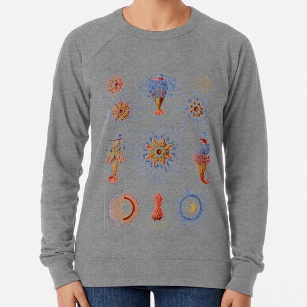 Haeckel Siphonophorae. Siphonophorae is an order of Hydrozoans, a class of marine organisms belonging to the phylum Cnidaria Lightweight Sweatshirt