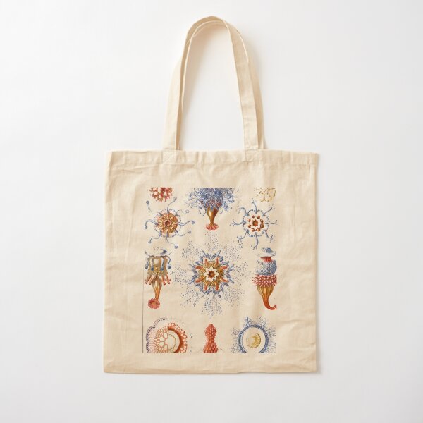 Haeckel Siphonophorae. Siphonophorae is an order of Hydrozoans, a class of marine organisms belonging to the phylum Cnidaria Cotton Tote Bag