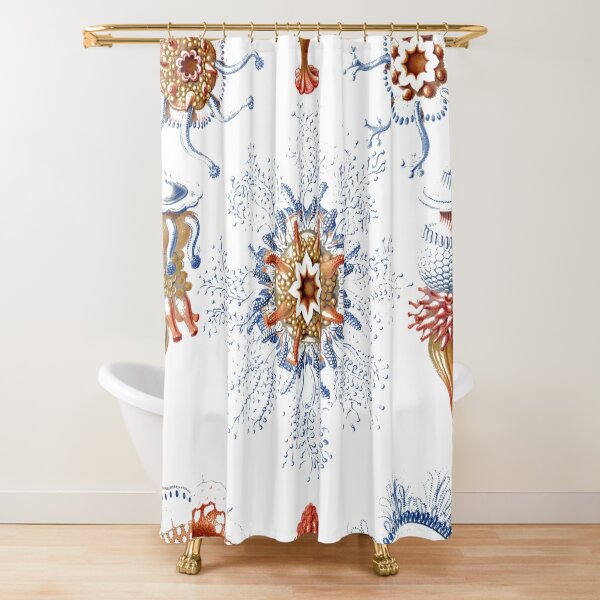 Haeckel Siphonophorae. Siphonophorae is an order of Hydrozoans, a class of marine organisms belonging to the phylum Cnidaria Shower Curtain