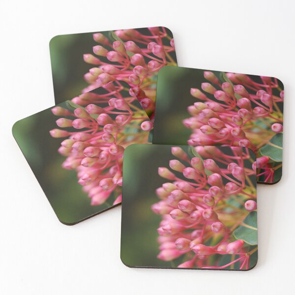 Item preview, Corymbia Ficifolia Red Australian Eucalyptus designed and sold by Joy Watson - Natural Light Photography .