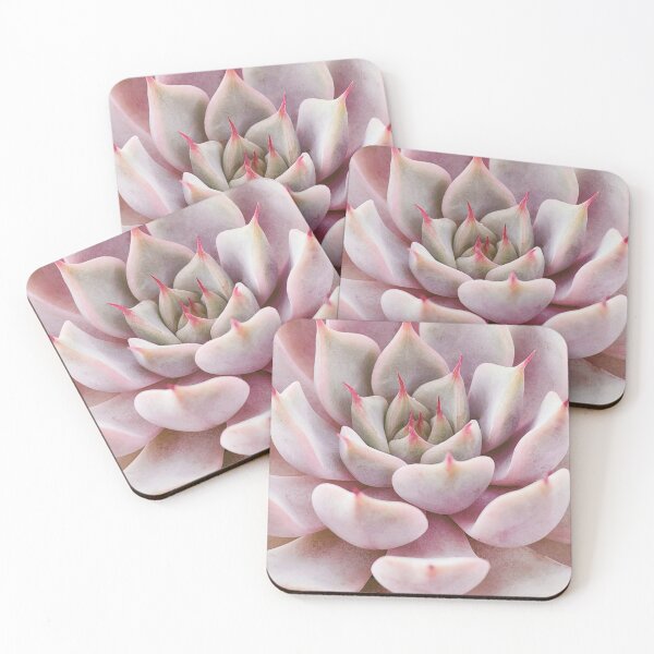 Item preview, Pink Succulent  designed and sold by panattar.