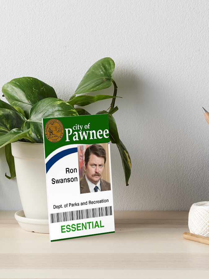 The Baseball Card Blog: Ron Swanson Kittle