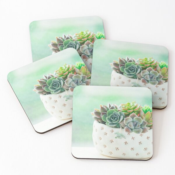 Aperçu de l'œuvre Pot de plantes succulentes créée et vendue par panattar.