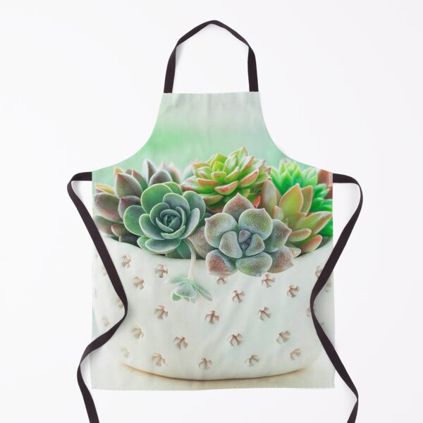 Aperçu de l'œuvre Pot de plantes succulentes créée et vendue par panattar.