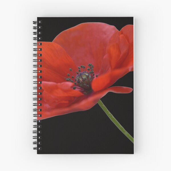 Item preview, Single Red Poppy Flower designed and sold by Felicity-K.