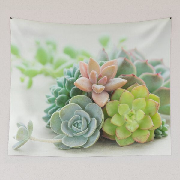 Item preview, Succulent Bouquet designed and sold by panattar.