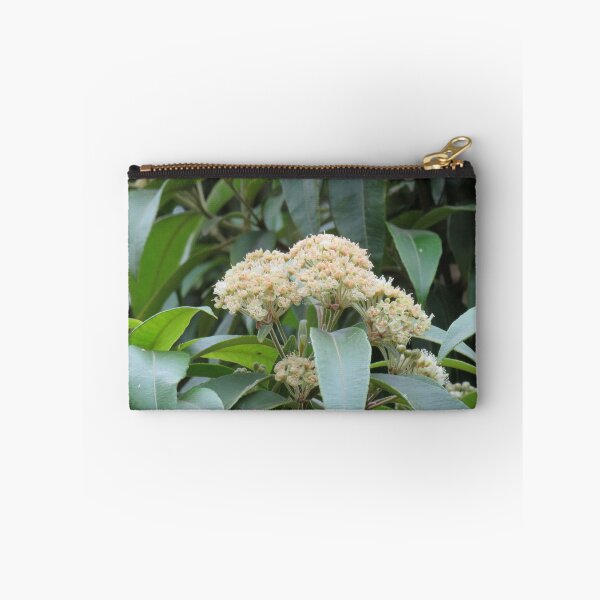 Item preview, Lemon myrtle flowers designed and sold by greentiger1.
