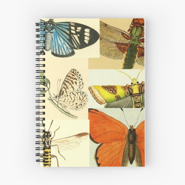 Item preview, Vintage Insects Set #2 designed and sold by Krispsm.