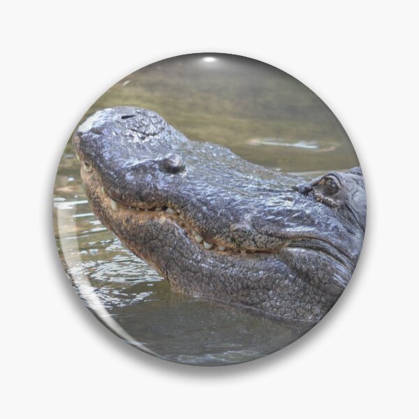 Item preview, Big Grins from a Big Alligator designed and sold by richardbryce.