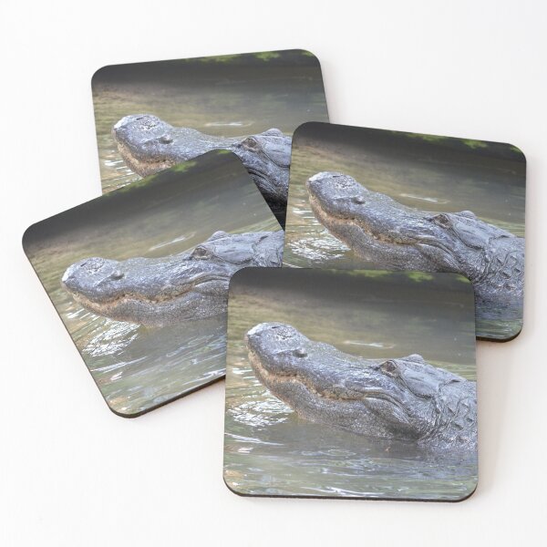 Item preview, Big Grins from a Big Alligator designed and sold by richardbryce.