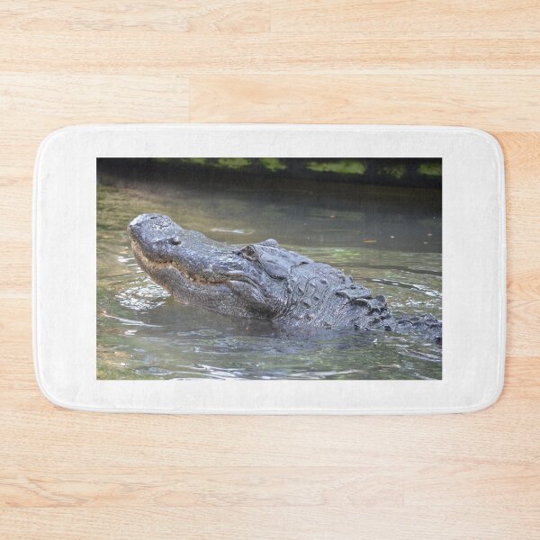 Item preview, Big Grins from a Big Alligator designed and sold by richardbryce.