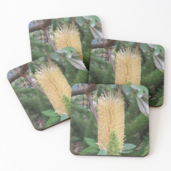 Item preview, Banksia flower designed and sold by greentiger1.