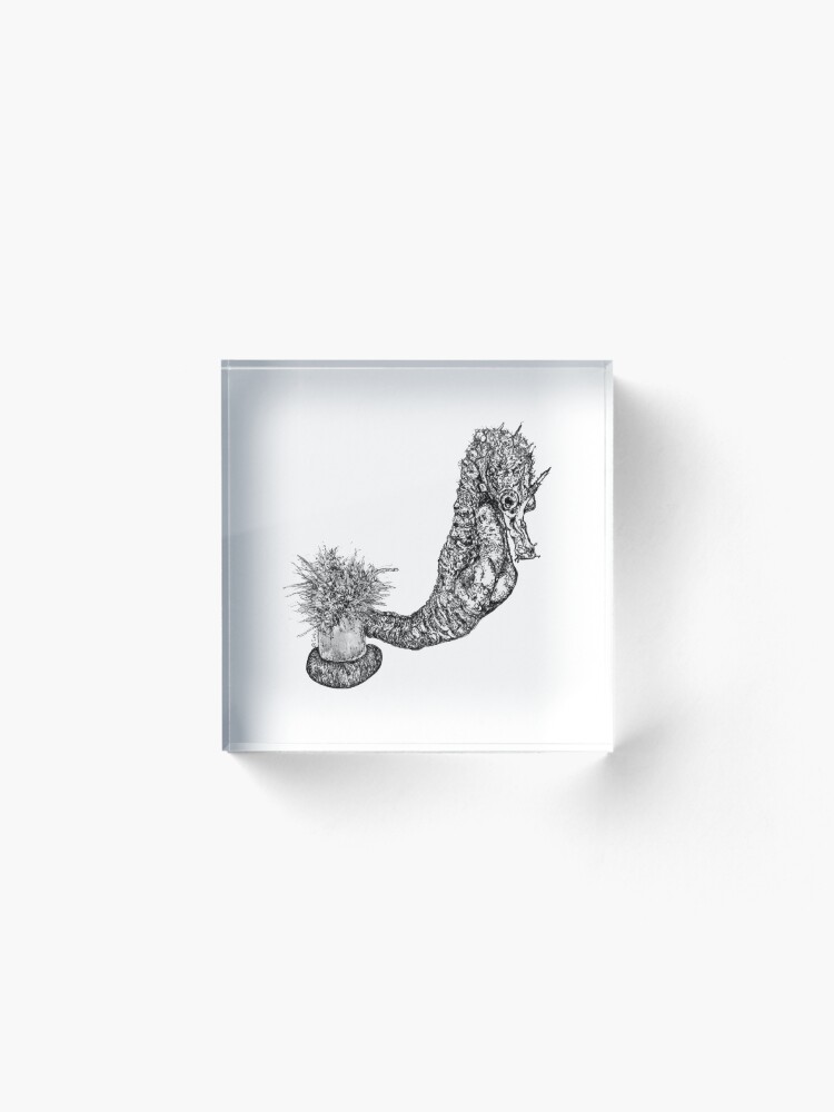 Alternate view of Fabio the Seahorse Acrylic Block