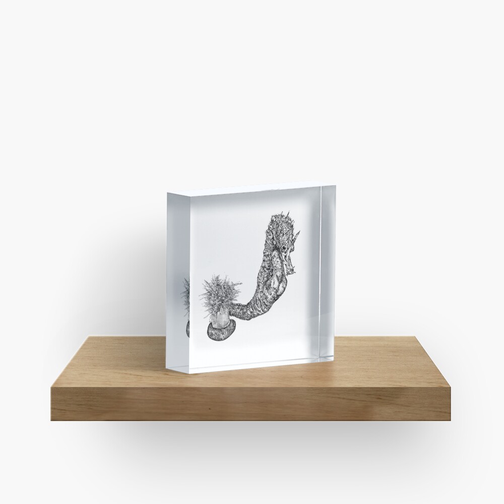 Fabio the Seahorse Acrylic Block