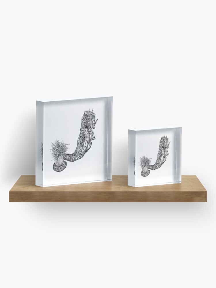 Alternate view of Fabio the Seahorse Acrylic Block
