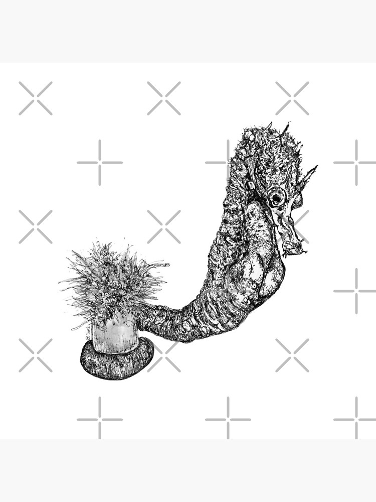 Fabio the Seahorse by Wildcard-Sue