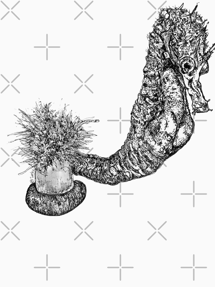 Fabio the Seahorse by Wildcard-Sue