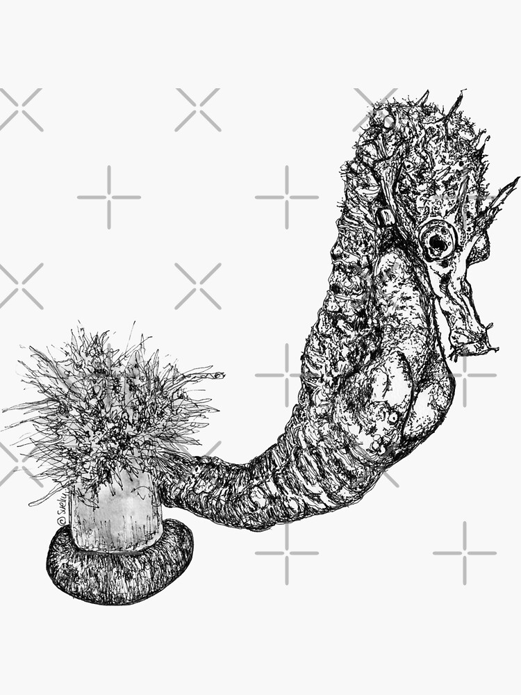 Fabio the Seahorse by Wildcard-Sue
