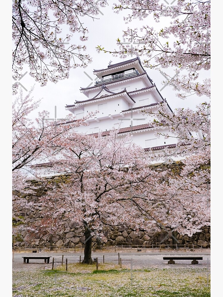  quot Japan Aizuwakamatsu Tsuruga Castle in Spring with Sakura Cherry 