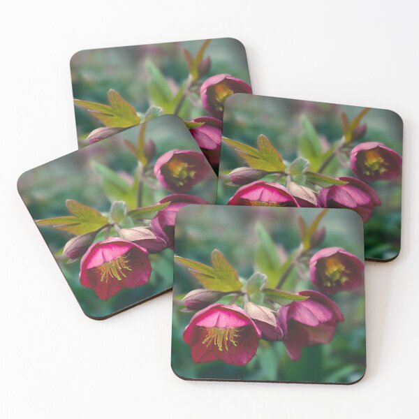 Item preview, Hellebore Winter Jewels designed and sold by Alisonchambers2.
